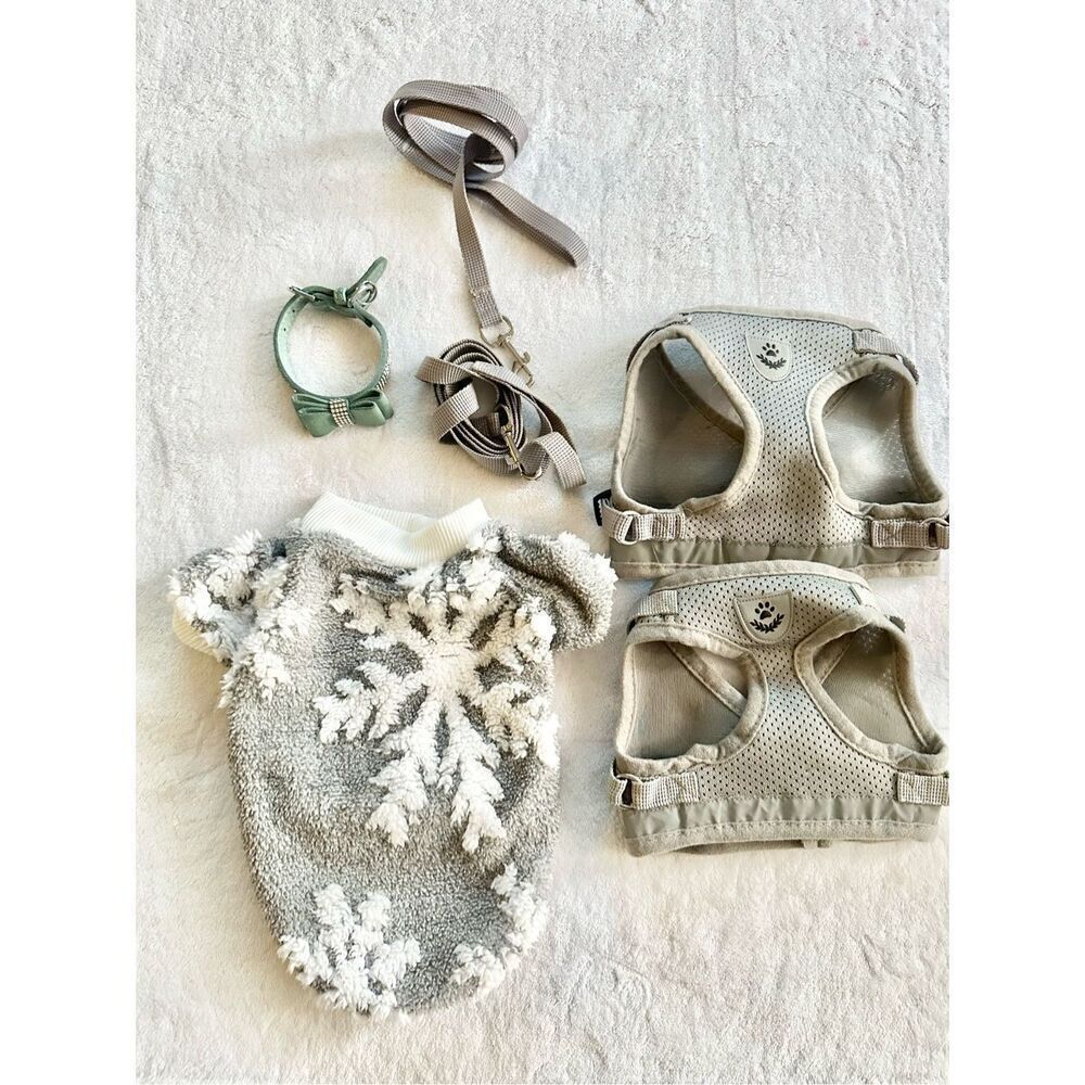Gray bundle of dog accessories